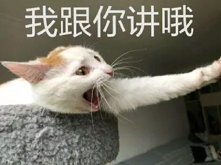 来个网址你懂的(7)