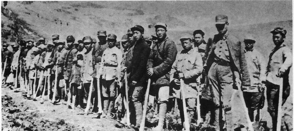 南泥湾在什么地方是哪个省的(10)
