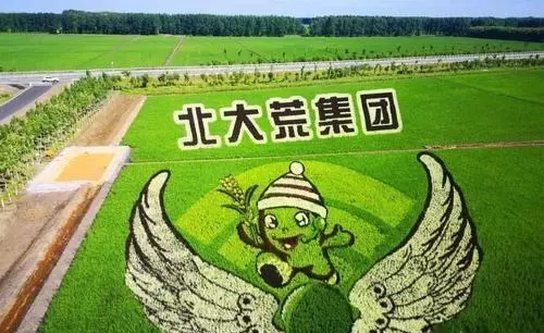 南泥湾在什么地方是哪个省的(11)