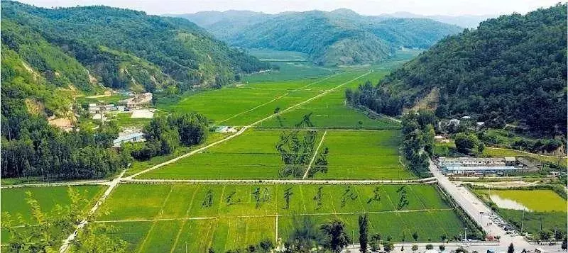 南泥湾在什么地方是哪个省的(5)