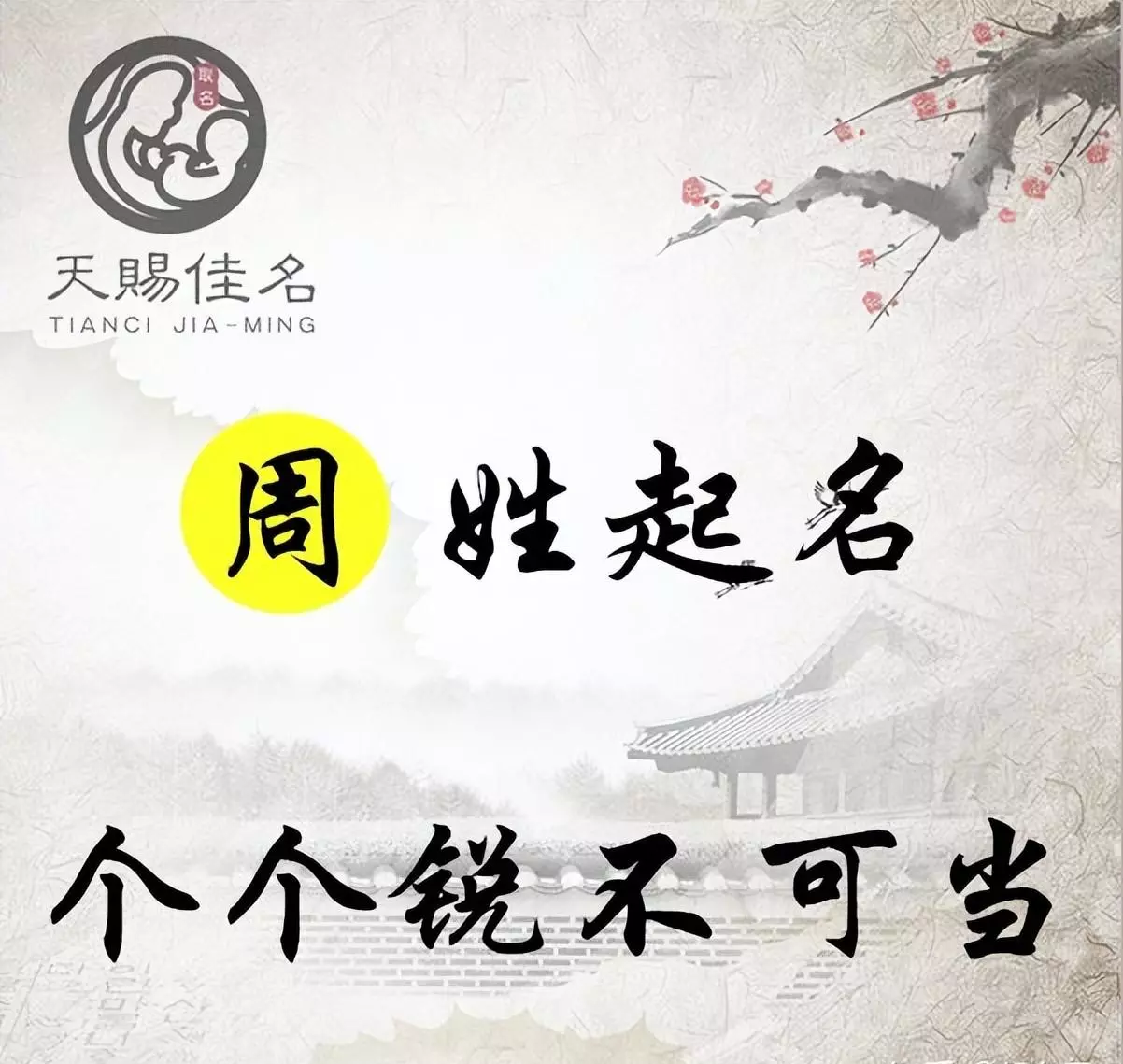 姓周男孩兔宝宝名字好听大全(1)