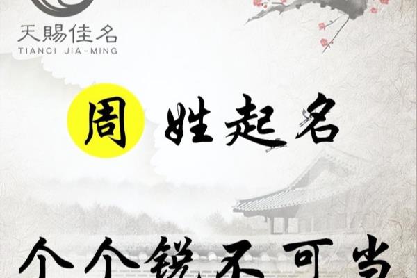 姓周男孩兔宝宝名字好听大全.
