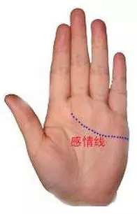 爱情线断开了有两条是指什么(1)