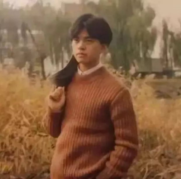 李健妻子是做什么的(15)