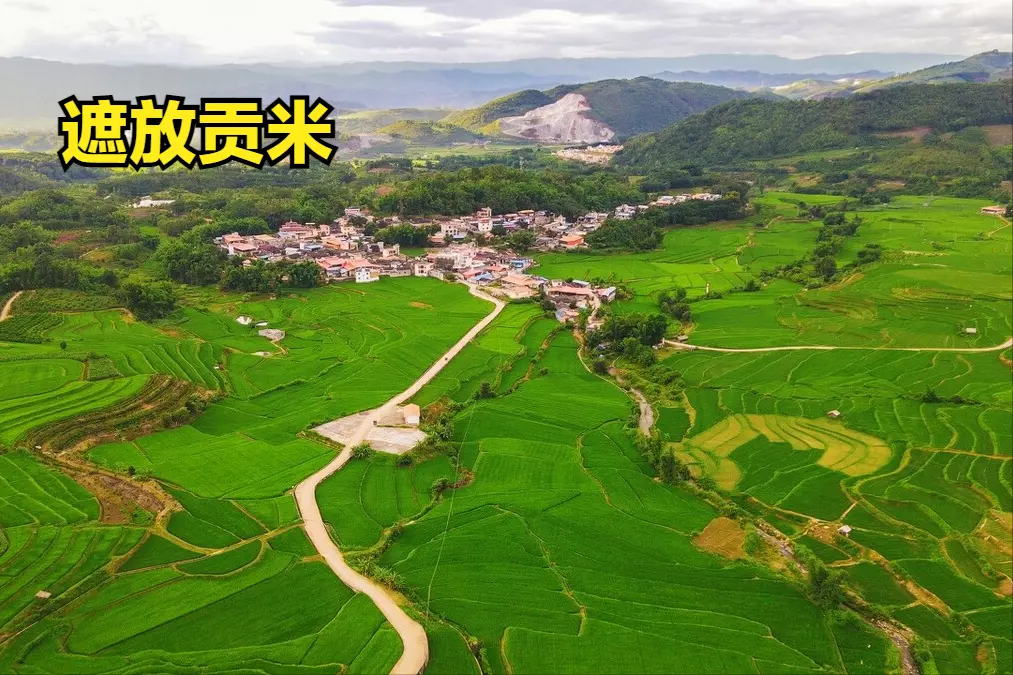 中国大米排名在哪里看(8)