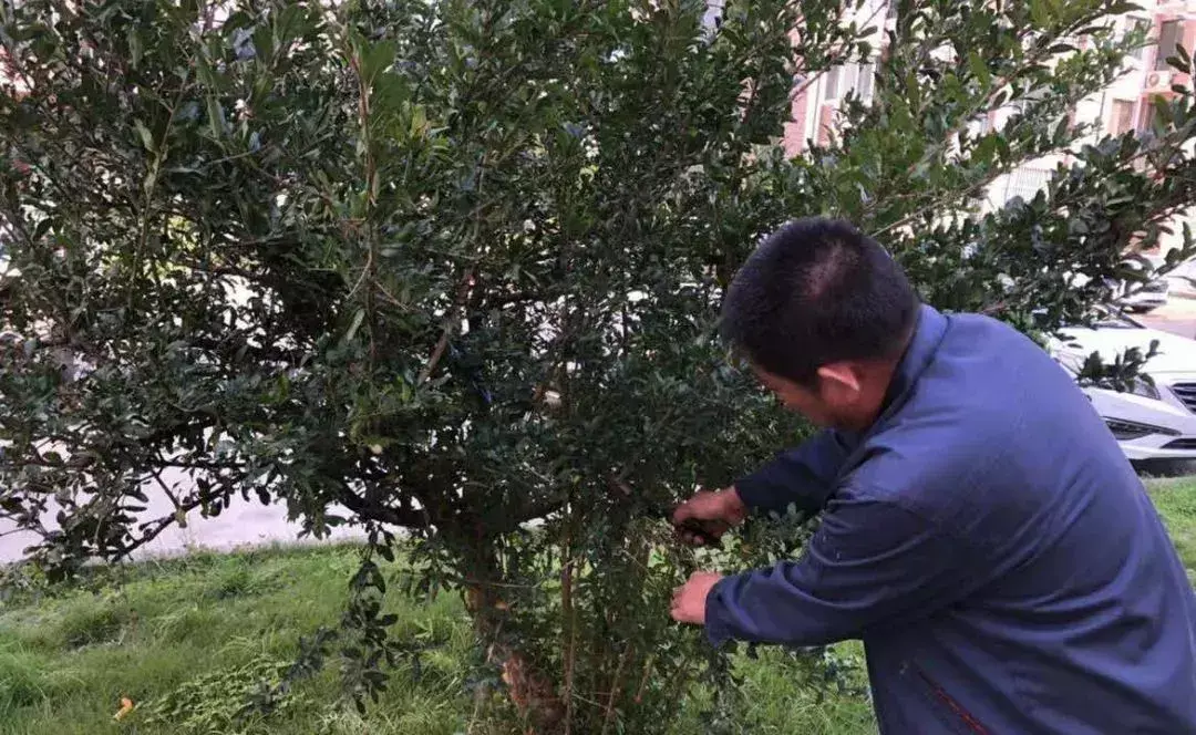 威海阳光海上城属于哪个社区(13)