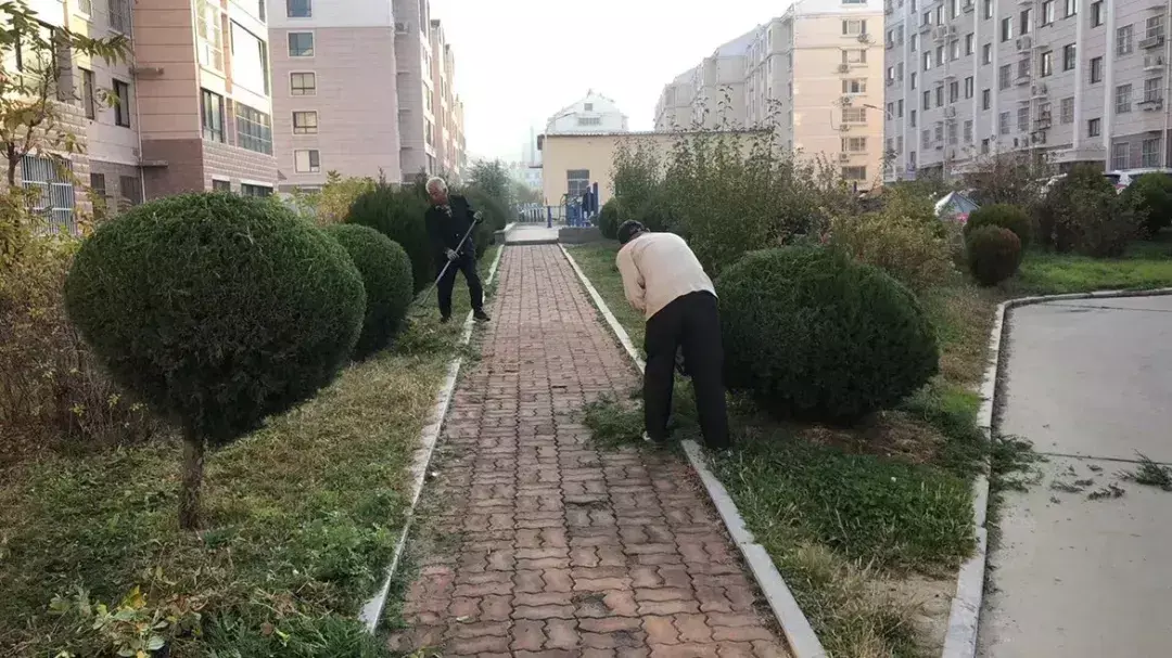 威海阳光海上城属于哪个社区(14)