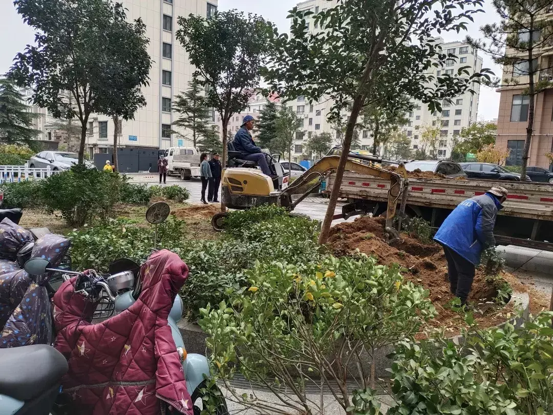 威海阳光海上城属于哪个社区(2)