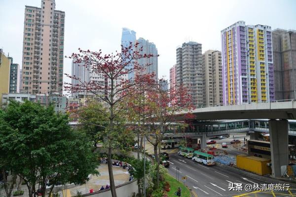 攀枝花气候最好的地方在哪里.