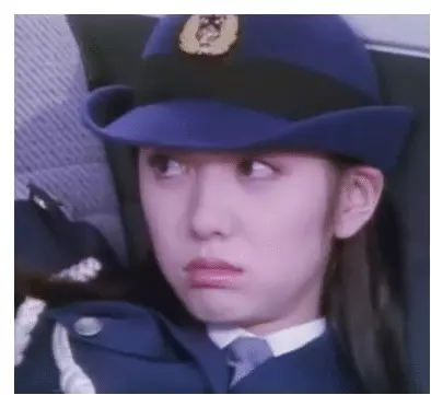 铁甲小宝女交警叫什么(2)