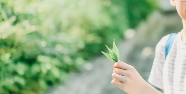 四季优美段落摘抄大全(2)