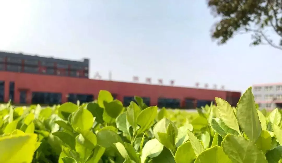 诸城超然中学是高中还是职高(3)