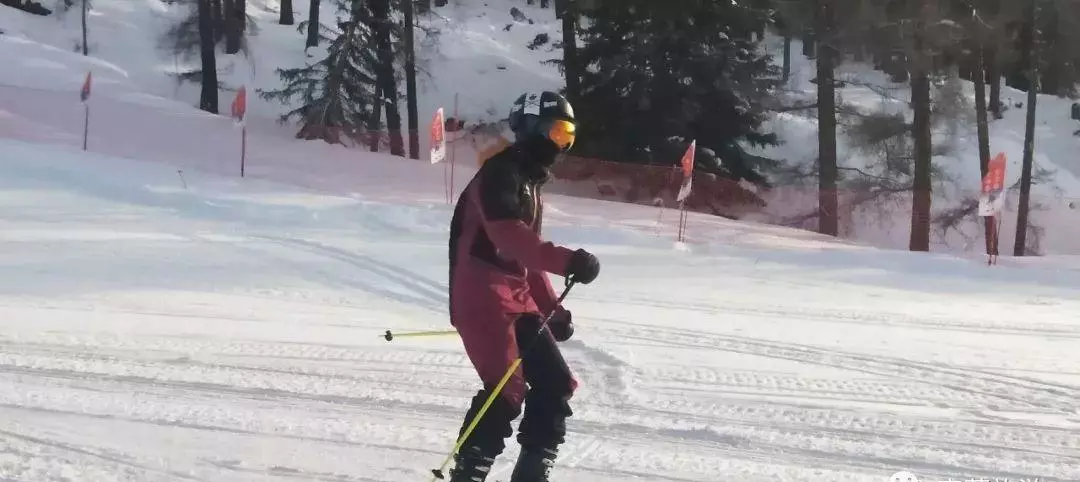 滑雪技巧初学者双板怎么刹车(1)