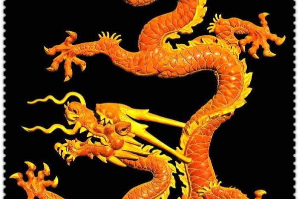 外国龙和中国龙的区别.