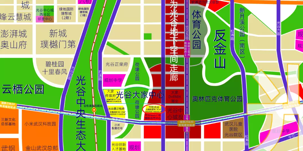 光谷鼎正悦府这个楼盘怎么样(10)