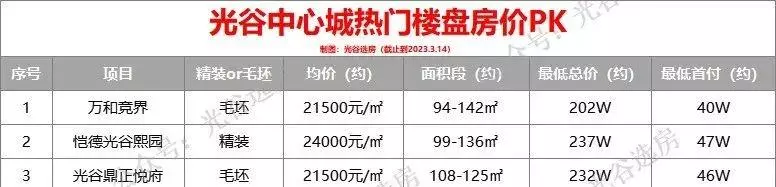光谷鼎正悦府这个楼盘怎么样(11)
