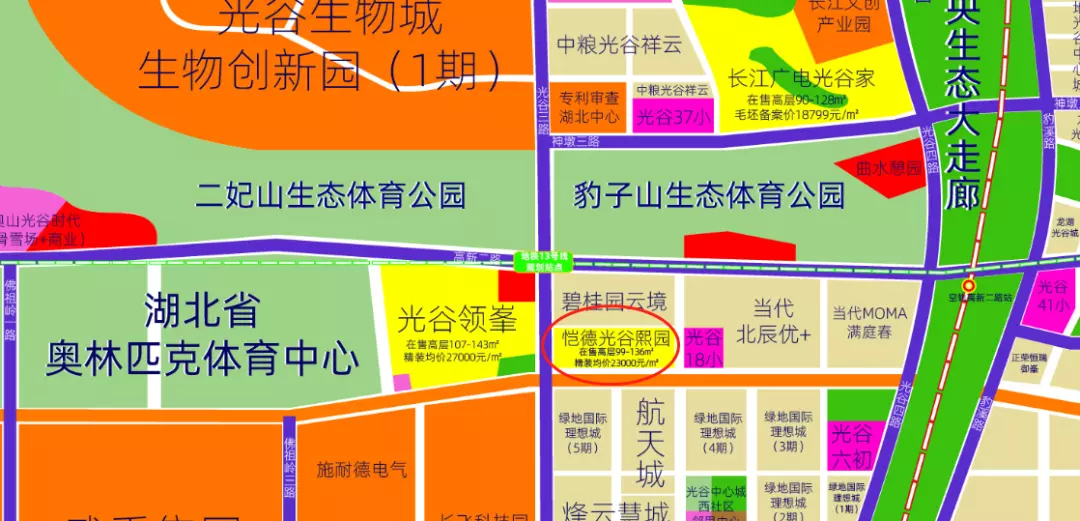 光谷鼎正悦府这个楼盘怎么样(6)
