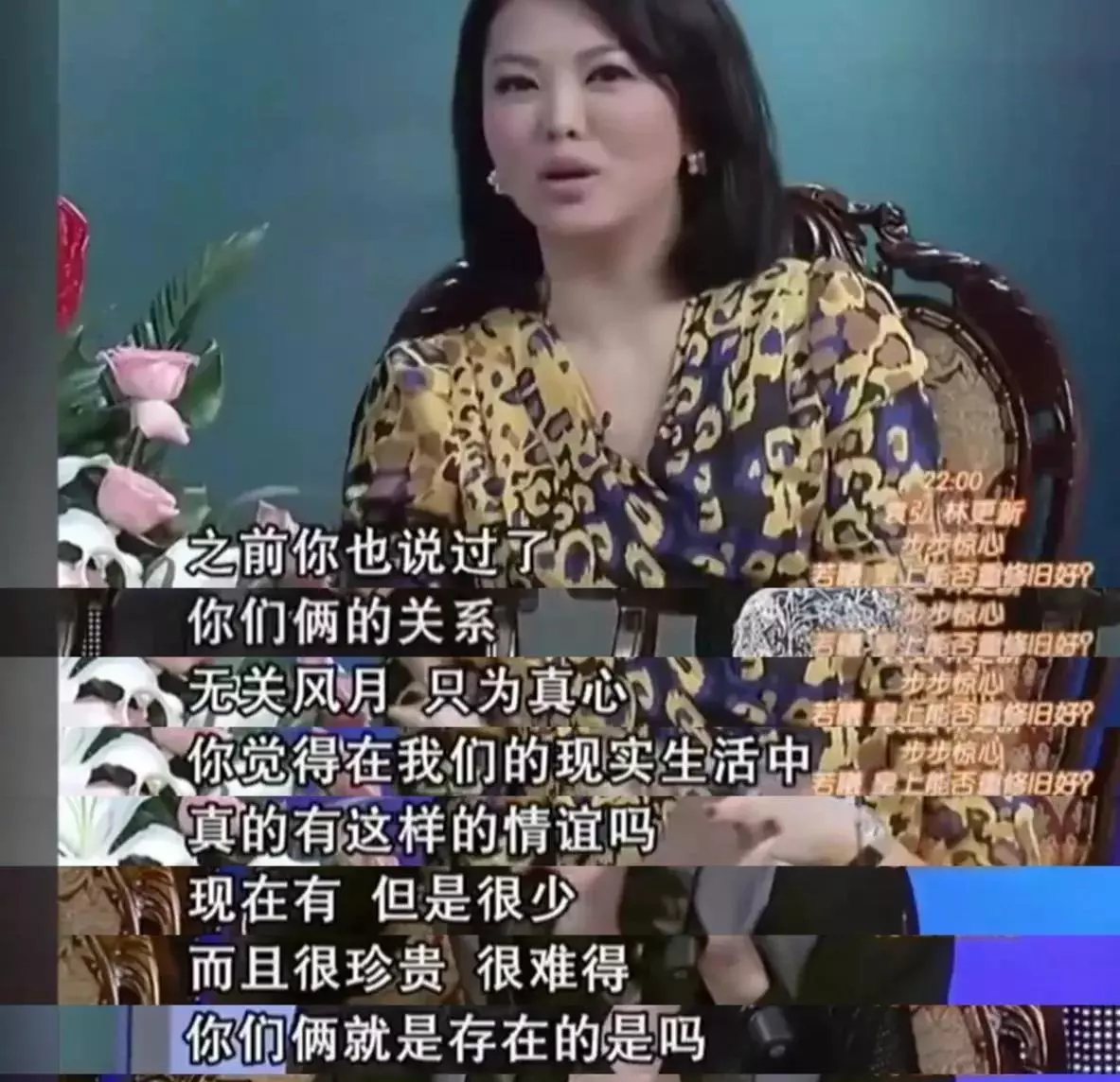 袁弘刘诗诗什么关系(8)