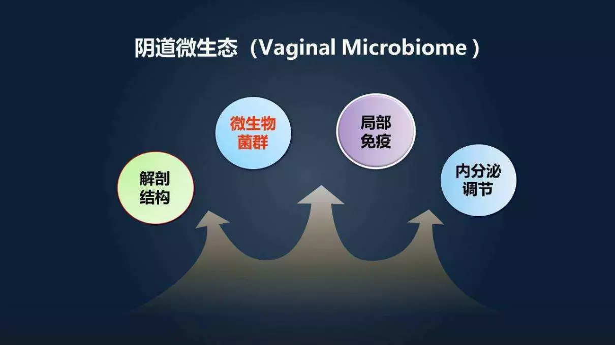 女生那里长了一个疙瘩是怎么回事(10)