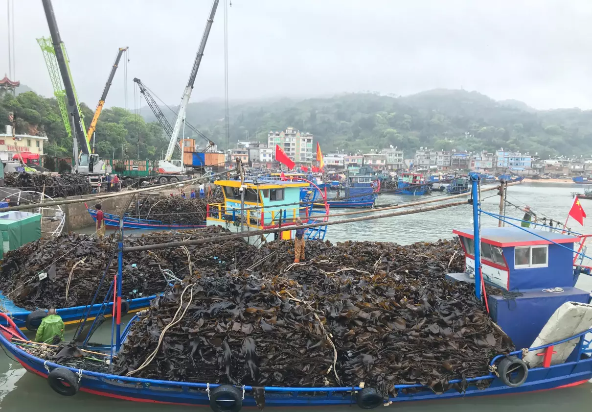 宁德去西洋岛怎么走(2)