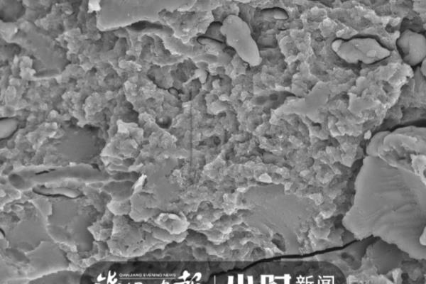 自热米饭的米是什么米口感那么滑.