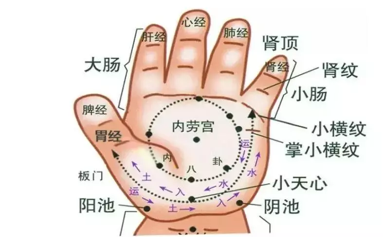 慢性呕吐实验室是怎么拍的(8)