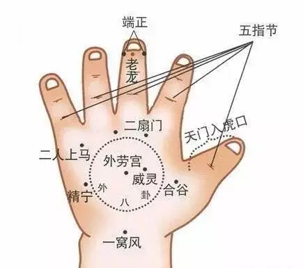 慢性呕吐实验室是怎么拍的(9)