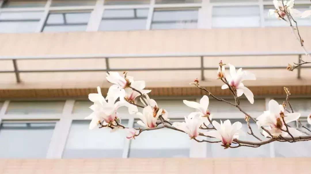 大连日语专业学校综合排名(3)