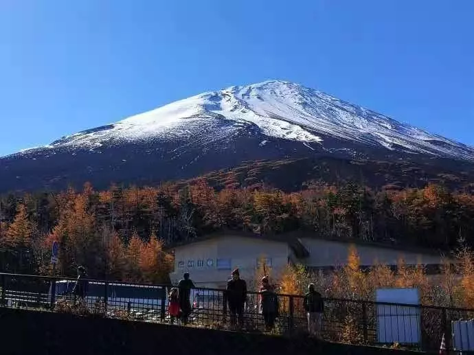 广岛协议是如何影响日本经济(5)