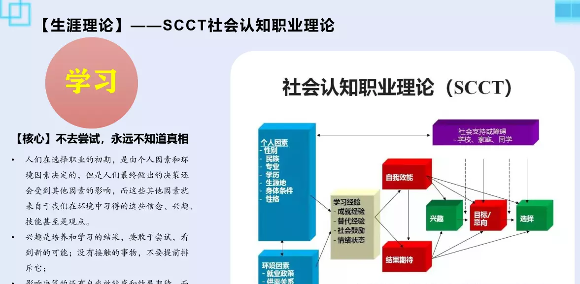 职业生涯理论的核心和基础是什么(6)