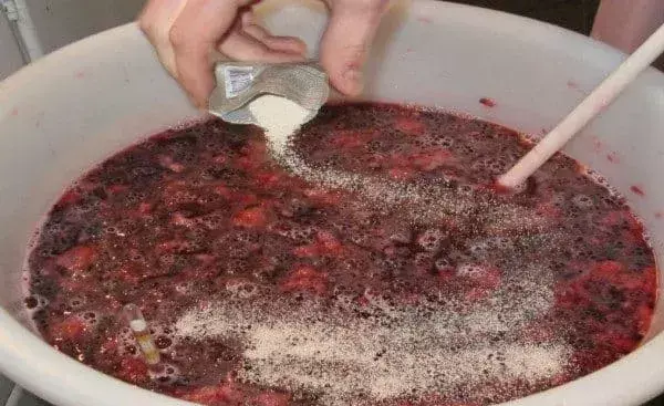 葡萄酒酿造工艺有哪些(22)