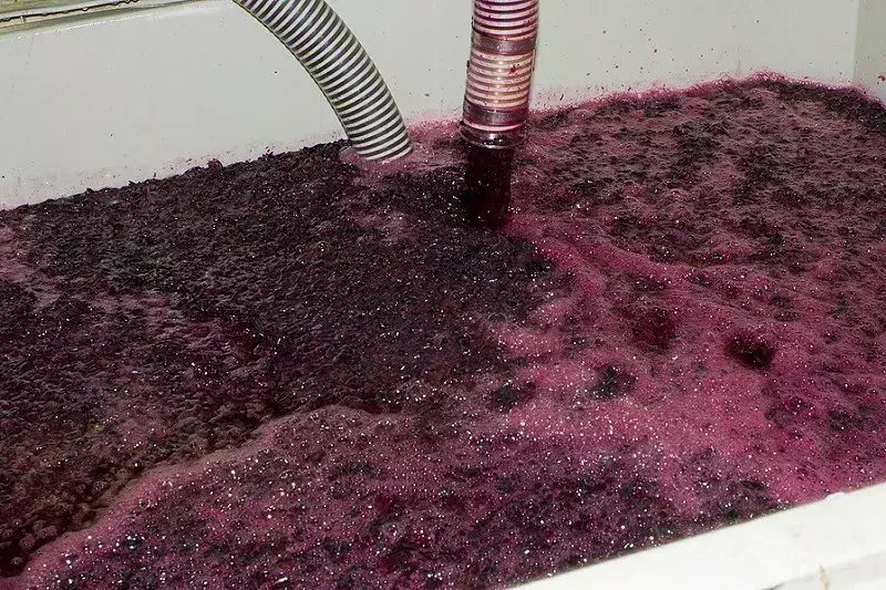 葡萄酒酿造工艺有哪些(27)