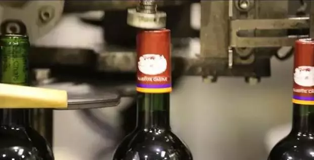 葡萄酒酿造工艺有哪些(42)