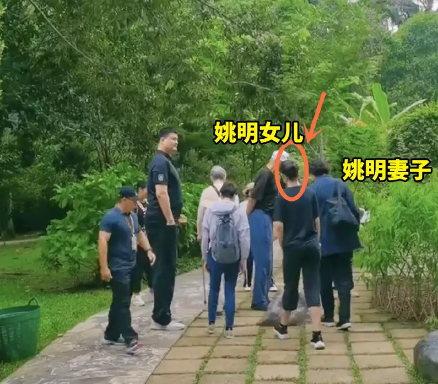 姚明年龄身高体重(13)