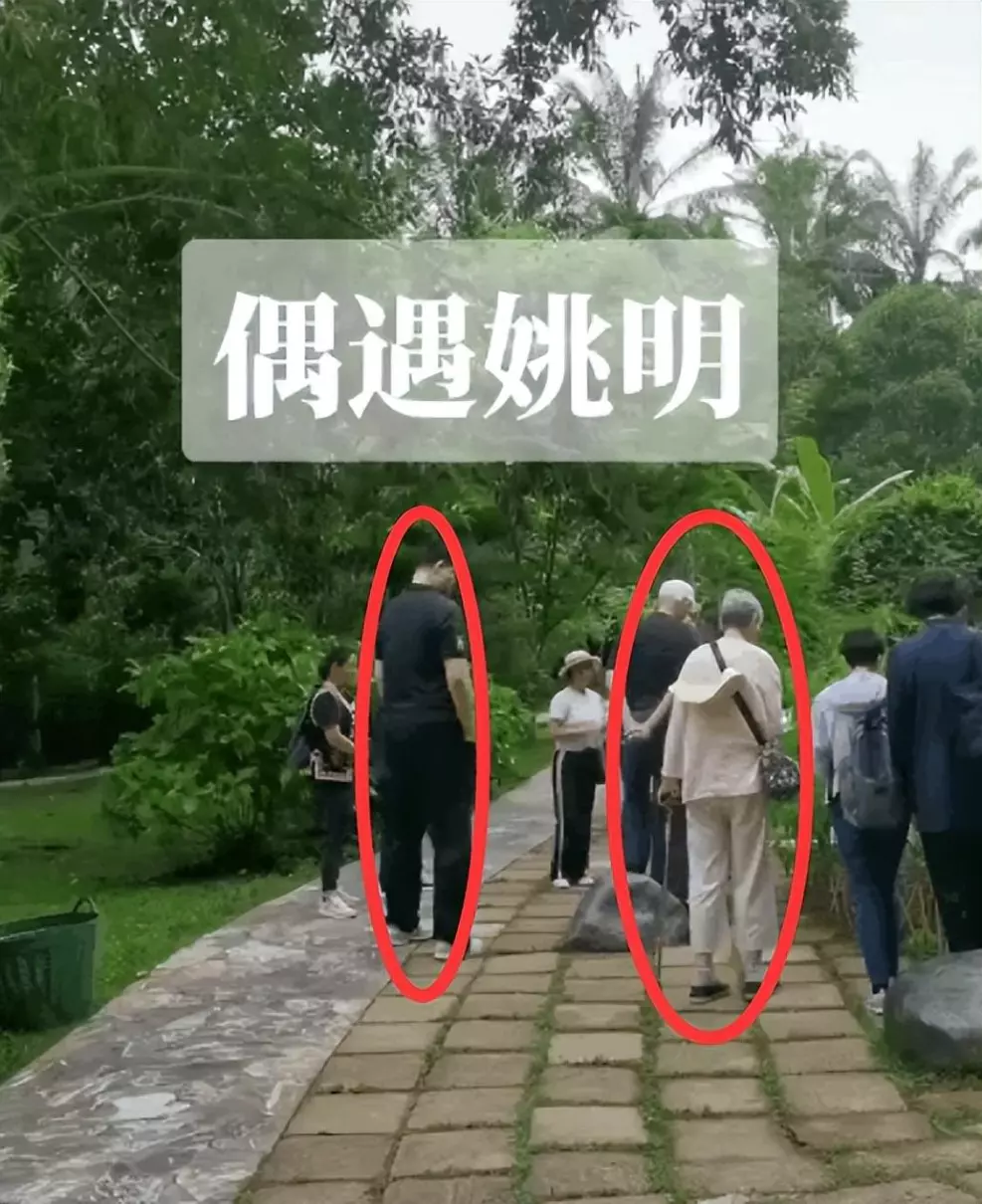 姚明年龄身高体重(1)