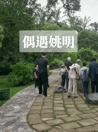 姚明年龄身高体重(2)