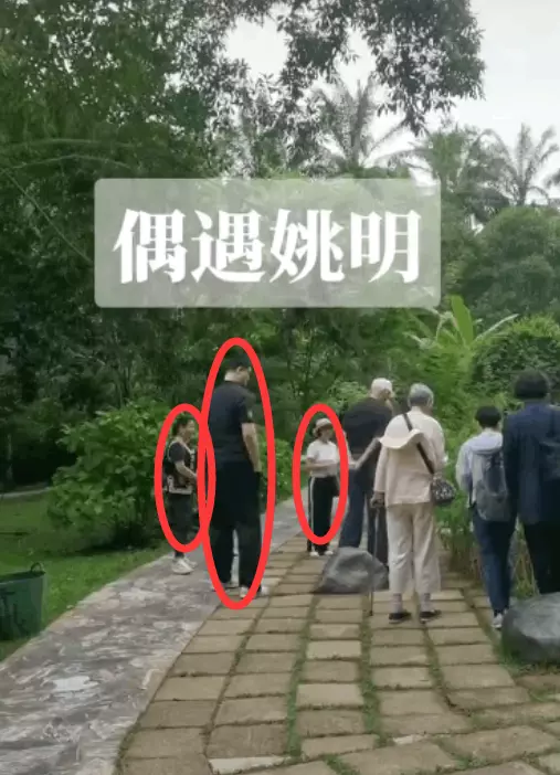 姚明年龄身高体重(3)