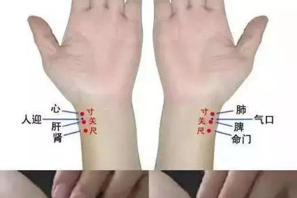 诊脉入门基础知识.