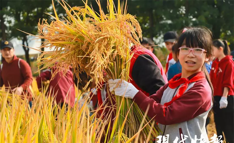 淮安市人民小学怎么样(1)