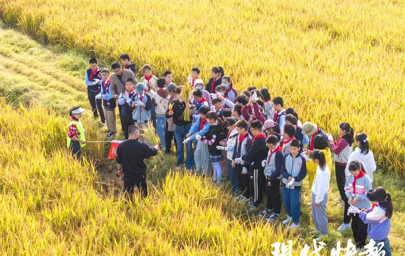 淮安市人民小学怎么样(2)