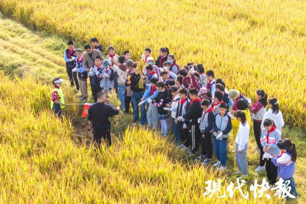 淮安市人民小学怎么样.