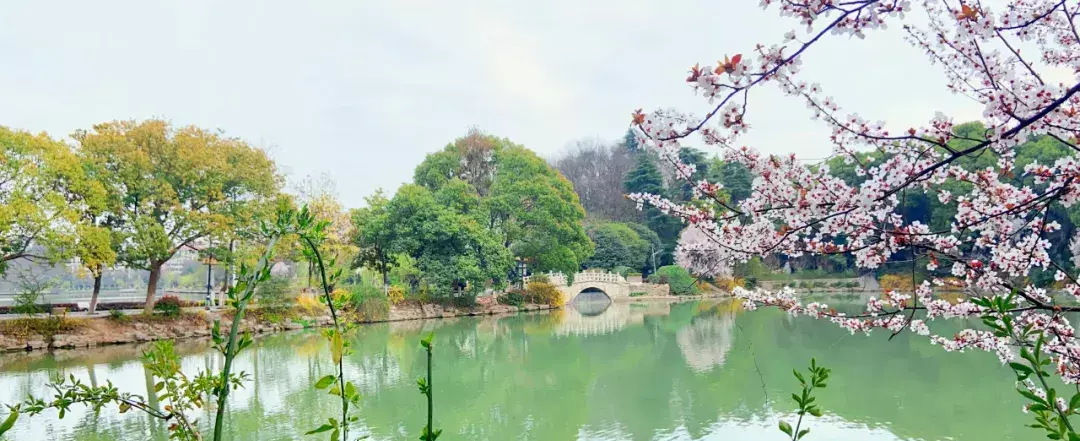珍珠泉风景区门票价格(2)