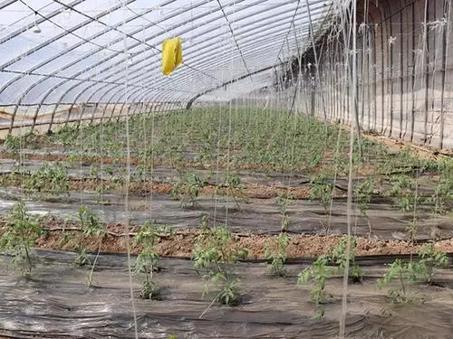 大棚钢架价格表大全(5)