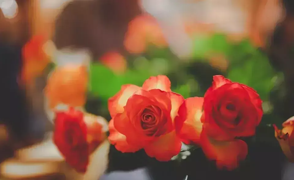 喜怒无常脾气暴躁是精神病吗(4)