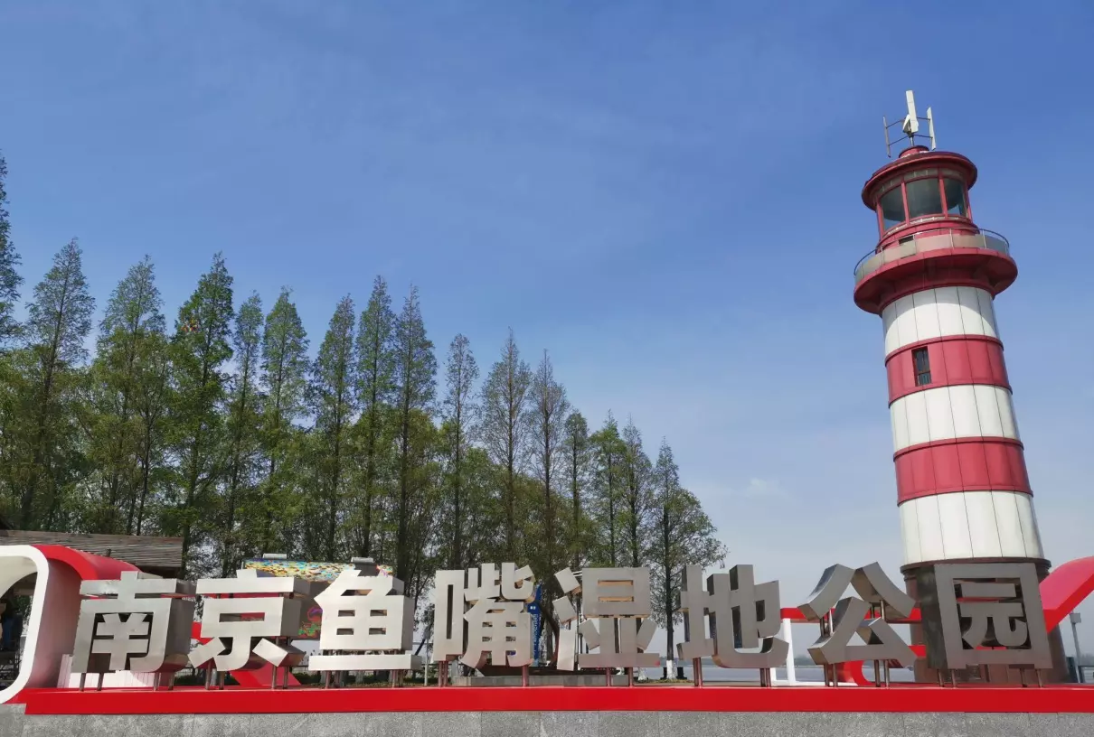 南京鱼嘴湿地公园门票价格(4)