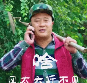 我还是想要爱情赵四表情包(2)