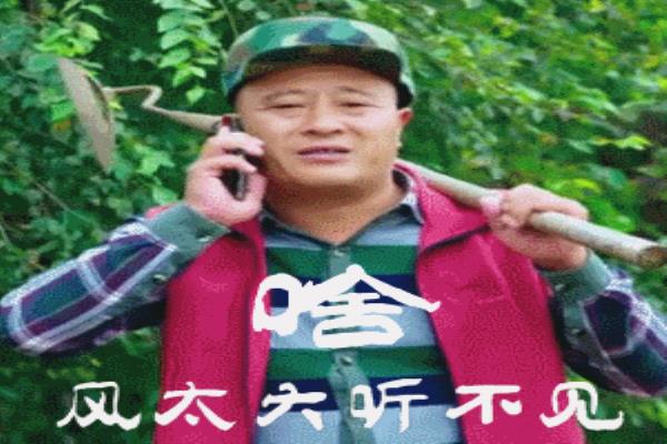我还是想要爱情赵四表情包.