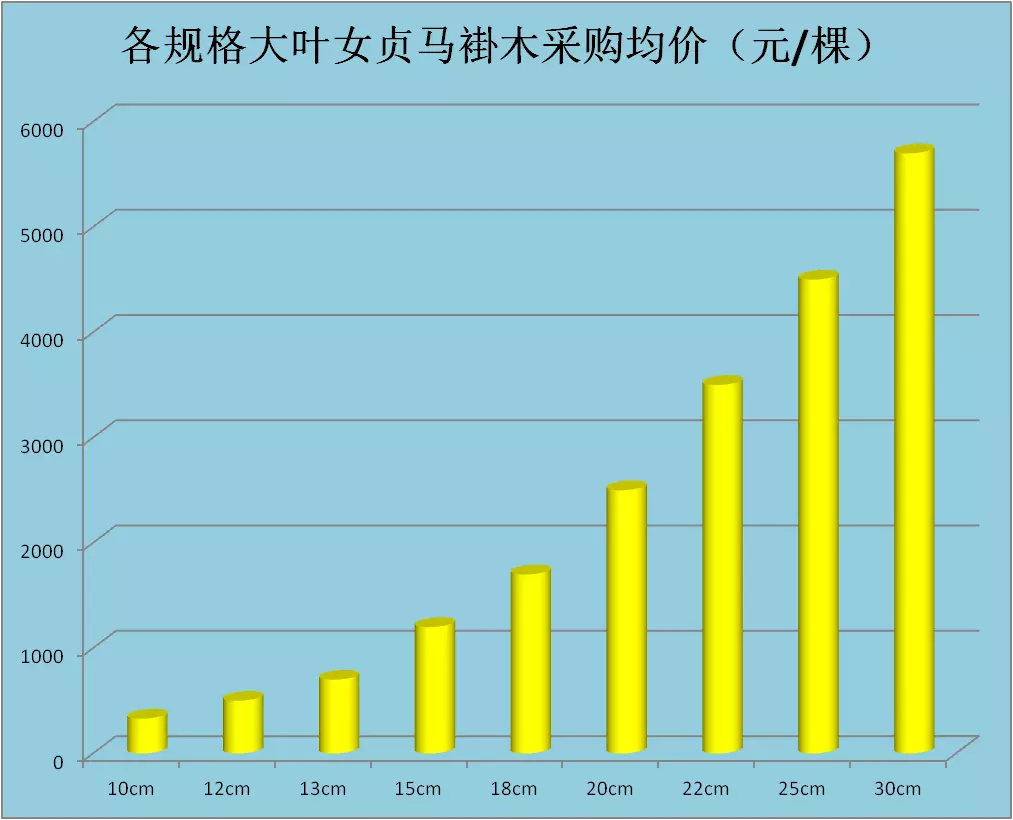 女贞子价格2023最新价格(11)
