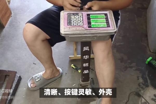 电子秤一般多少钱电子秤的价格.