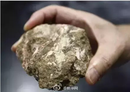 章子怡的微博名为什么叫稀土部队(3)